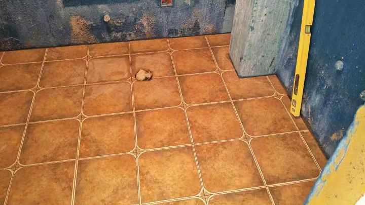 楓景園小區(qū)15號樓86㎡-瓦工階段